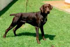 1-1